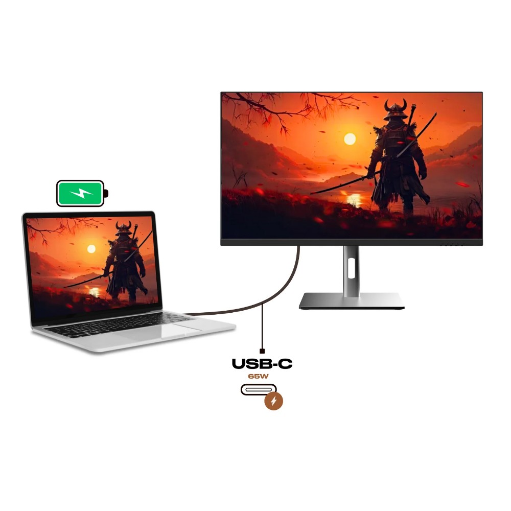 JN-IPS24X500FR-H-C6 MONITEUR GAMING - Image 2