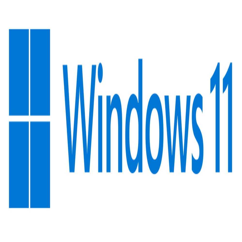 Windows 11 Pro FPP French Boite 1 licence USB 64-bit - Image 2